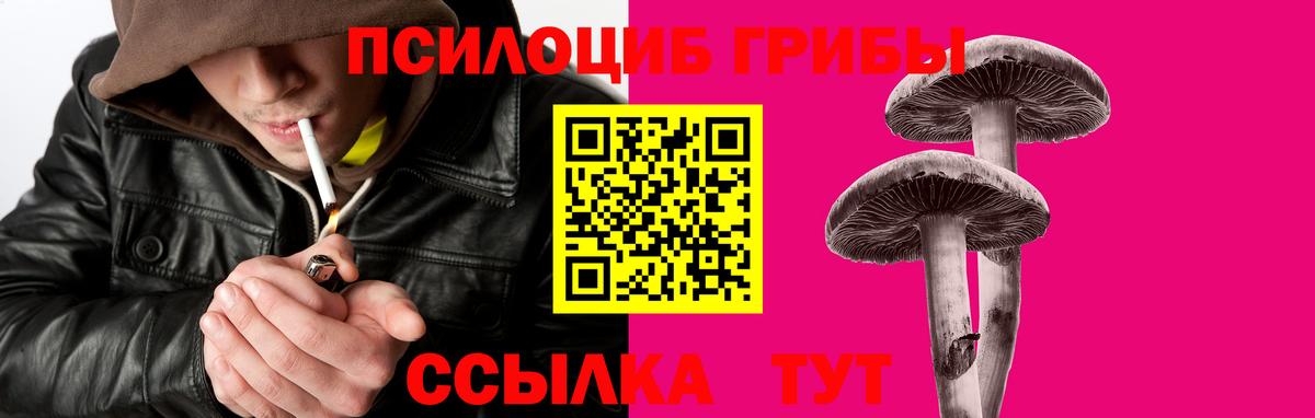 Псилоцибиновые грибы мицелий Надым